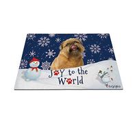 Buone Vacanze Invernali Sulla Neve Con Il Mio Adorabile Cane Grifone Di Bruxelles Tappeto Ingresso Casa Antiscivolo Tappeti D'Ingresso Antisporco Tappetino Da Bagno Per Soggiorno Terrazzo 40X60Cm