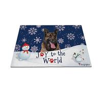 Buone Vacanze Invernali Sulla Neve Con Il Mio Amore Cane Pastore Belga Malinois Zerbino Di Benvenuto Lavabile Tappetini Porta Dingresso Divertenti Tappeti D'Ingresso Per Interno Balcone 40X60Cm