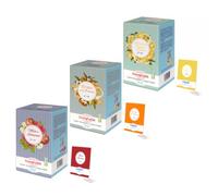 Buonefredde | Box Infusi Freddi | Tisana Mela Lampone, Tè Nero Arancia, Tè Verde Zenzero Limone | Bevanda Fredda Dissetante Rinfrescante Set Degustazione - 3 x 20 Filtri