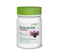 Bios Line Buonerbe Libera Polvere 100g