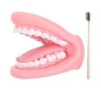 Burattini a mano per, giocattolo didattico educativo per la progettazione di modelli dentali mobili in PVC | Dentals Modello Marionetta da, Kid Ragazzi Ragazze Casa Viaggiare Scuo