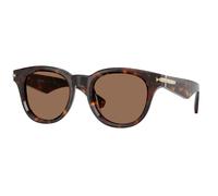Burberry Uomo BE4439 300273 Occhiali da sole Acetato Marrone Marrone Rotonda Normale