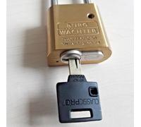 Burg-Wächter Profi 116Pc 50Catenaccio Con Cilindro/Protec/Protec2/Fab-Assa Abloy