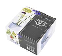 Burgon & Ball Ikebana Fuji - Ciotola giapponese con vaso per fiori Kenzan Spike