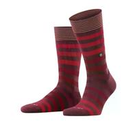 Burlington Blackpool Uomo Calze con cotone biologico