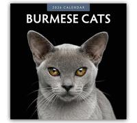 Burmese Cats - Burma-Katzen - Burmese 2026 - 16-Monatskalender: Original Red Robin Publishing Ltd-Kalender [Mehrsprachig] [Kalender]