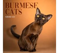 Burmese Cats Calendar 2027: Cat Portraits and Everyday Scenes