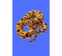 BURMESE PYTHON: ANIMALS OF THE WORLD, Positive affirmations, Motivational and inspirational notebook, Animal notebook, Birthday gifts, Notebook gifts, Anniversary gifts, For all...
