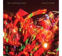 Trey Anastasio Burn It Down (Vinyl LP)