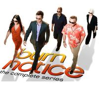 Burn Notice: The Complete Series Giftset (29 Dvd) [Edizione: Stati Uniti]