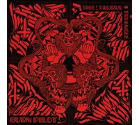 Burn Pilot - The Taurus Triangle