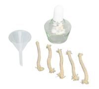 Burner Lampa alcolica 150 ml di bottiglia di riscalmento in laboratorio di vetro premium con 5 asciutti di sostituzione e 1 imbuto per esperimenti scientifici e classe di chimica