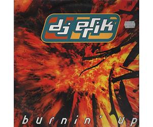 Burnin' up / Vinyl Maxi Single [Vinyl 12'']