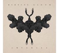 Burning Gloom - Amygdala