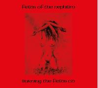 Burning The Fields - Fields Of The Nephilim (Audio Cd)