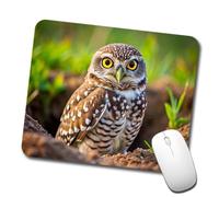 Burrowing Owl Raptor Bird of Prey Mousepad Portatile Tappetino per Mouse Piccolo Mouse Pad for Lavoro Casa Computer 25X30Cm