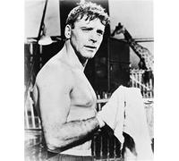 BURT LANCASTER Nei Panni Di Mike Ribble Poster Stampa 24x20"
