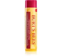 Burt’s Bees Festive Cinnamon Apple Crisp balsamo labbra 4.25 g