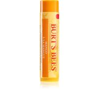 Burt’s Bees Lip Balm Mango balsamo nutriente labbra 4.25 g