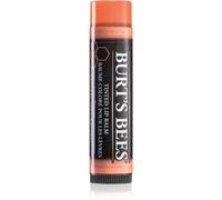 Burt’s Bees Tinted Lip Balm balsamo labbra colore Zinnia 4.25 g