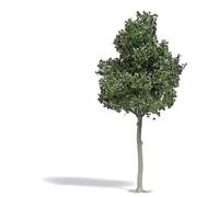 Busch 3799 Albero faggio 1 pz.