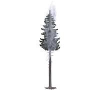 Busch 5431 Spruce tree 160 mm 1 pc(s)