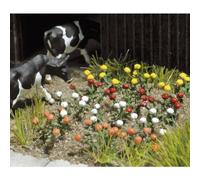 Busch 8105 n 120 rose per decorazione paesaggi