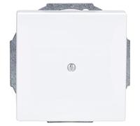 Busch-Jaeger 1749-84 - Disco centrale per presa condotto studio, piattaforma 63 2CKA001710A3163