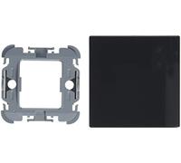 Busch-Jaeger 1786-81, Interruttore a bilanciere