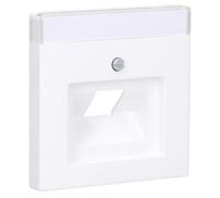 Busch-Jaeger 1803-884 Wall Plate, multicolore