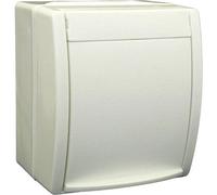 BJ 20 EW-54 - Presa schuko con coperchio ribaltabile