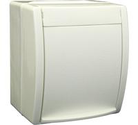Busch-Jaeger 20 EW-54 Interruttore per ambienti umidi Presa schuko Superficie