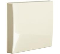 Busch-Jaeger 2106-32, Interruttore a bilanciere