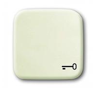 Busch-Jaeger, 2520TR-212, Copertina per il tasto con il simbolo "chiave"