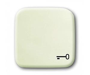 Busch-Jaeger, 2520TR-212, Copertina per il tasto con il simbolo "chiave"