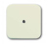 Busch-Jaeger, 2536-212, piastra di copertura