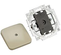 Busch-Jaeger 2538-212, Placca centrale cieca