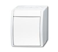 BUSCH JAEGER 2CKA001085A1620 2601/7 W-54 - 1P - White - 250 V - 10 A - 74 mm -