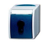 BUSCH JAEGER 2CKA001101A0917 2733 SLW-53 - Blue - Grey - IP 44 - 250 V - 74 mm