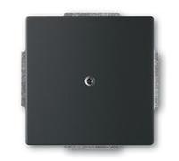 BUSCH JAEGER 2CKA001710A3895 Blindzentralscheibe 1742-885 schwarz matt