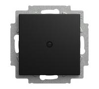 BUSCH JAEGER 2CKA001715A0321 Blindzentralscheibe 2538-915