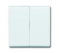 BUSCH JAEGER 2CKA001731A1601 2105-34 - White - 2000/5 US 2000/5 USGL 2020 US-20