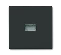 BUSCH JAEGER 2CKA001731A1742 2107-35 - Black - Busch-Jaeger - 70 mm - 70 mm - 1