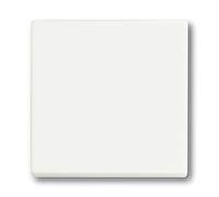 BUSCH JAEGER 2CKA001751A3027 1751-0-3027 - Buttons - White - Plastic - 63 mm -