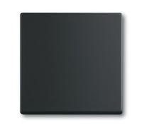 BUSCH JAEGER 2CKA001751A3041 1751-0-3041 - Buttons - Black - Plastic - 63 mm -