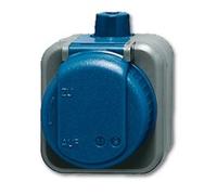 BUSCH JAEGER 2CKA002083A0343 2300 EWDI Steckdose Bajonettverschluss