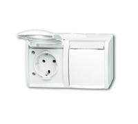 BUSCH JAEGER 2CKA002084A0715 20/2 EWN-54 Steckdose 2fach waagerecht