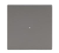 BUSCH JAEGER 2CKA006220A0413 6230-10-866 Wippe eds pur Edelstahl