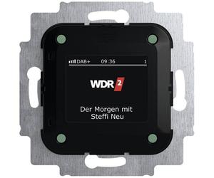 Busch-Jaeger 2CKA008200A0275 Frutto Radio Multicolore 1 pz.