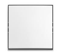 BUSCH JAEGER 2TKA00005521 2601/6 J-524 Wippschalter AP